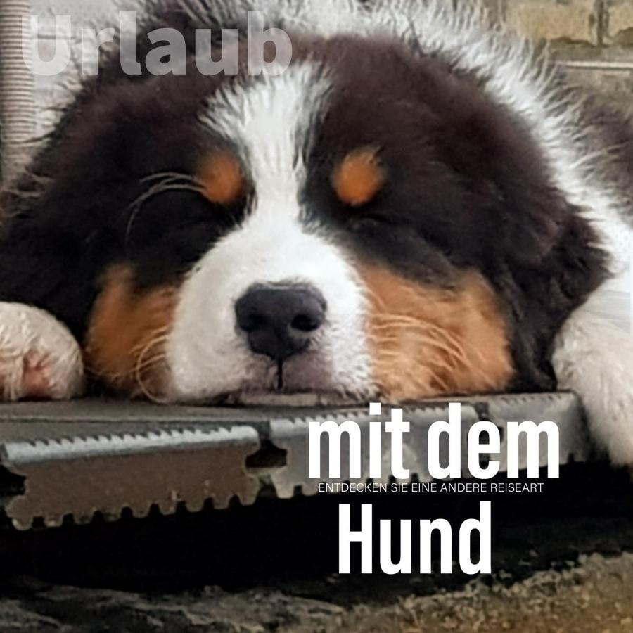 Der Seehof Heimbach Dış mekan fotoğraf